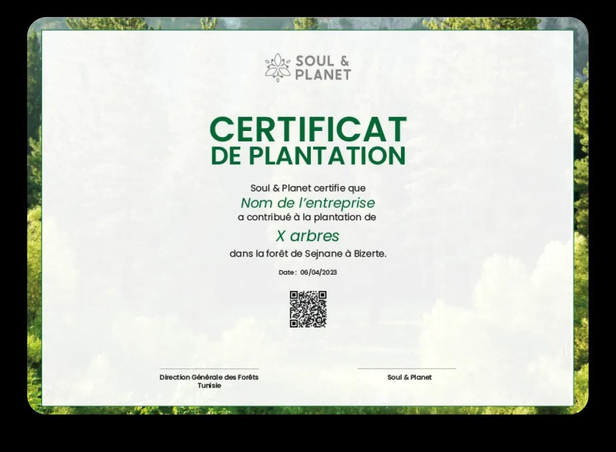 Konnect Certificate Image